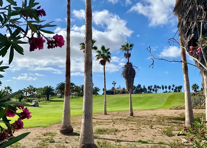 شقة Juangy's In Adelfas Golf Del Sur سان ميغيل ذي أبونا